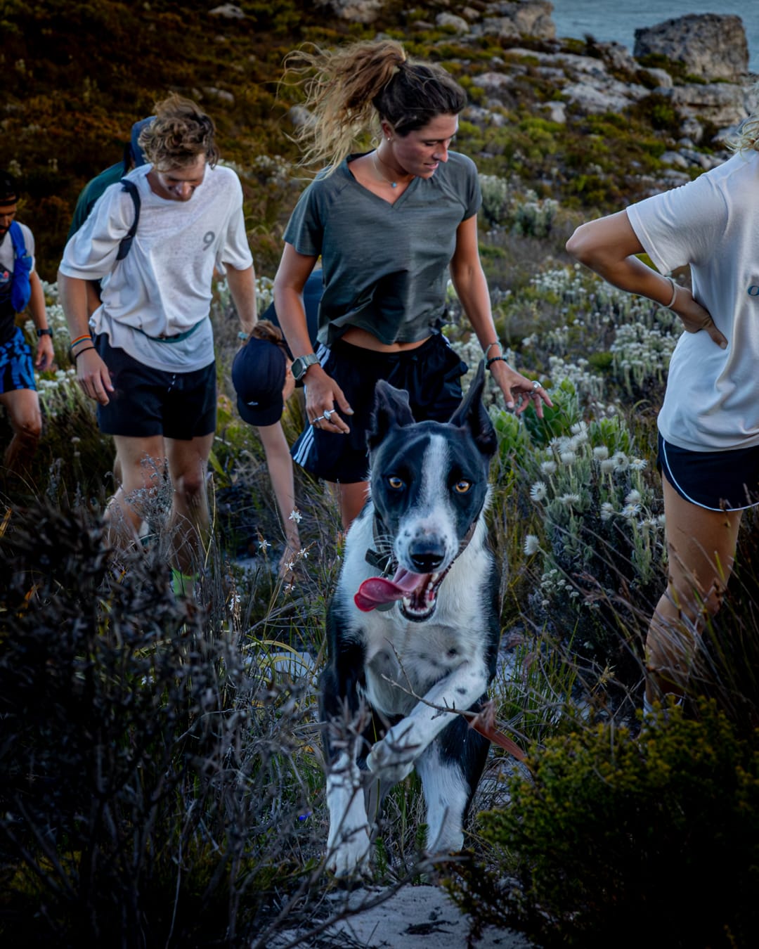 Trail runners with happy dog navigating fynbos vegetation