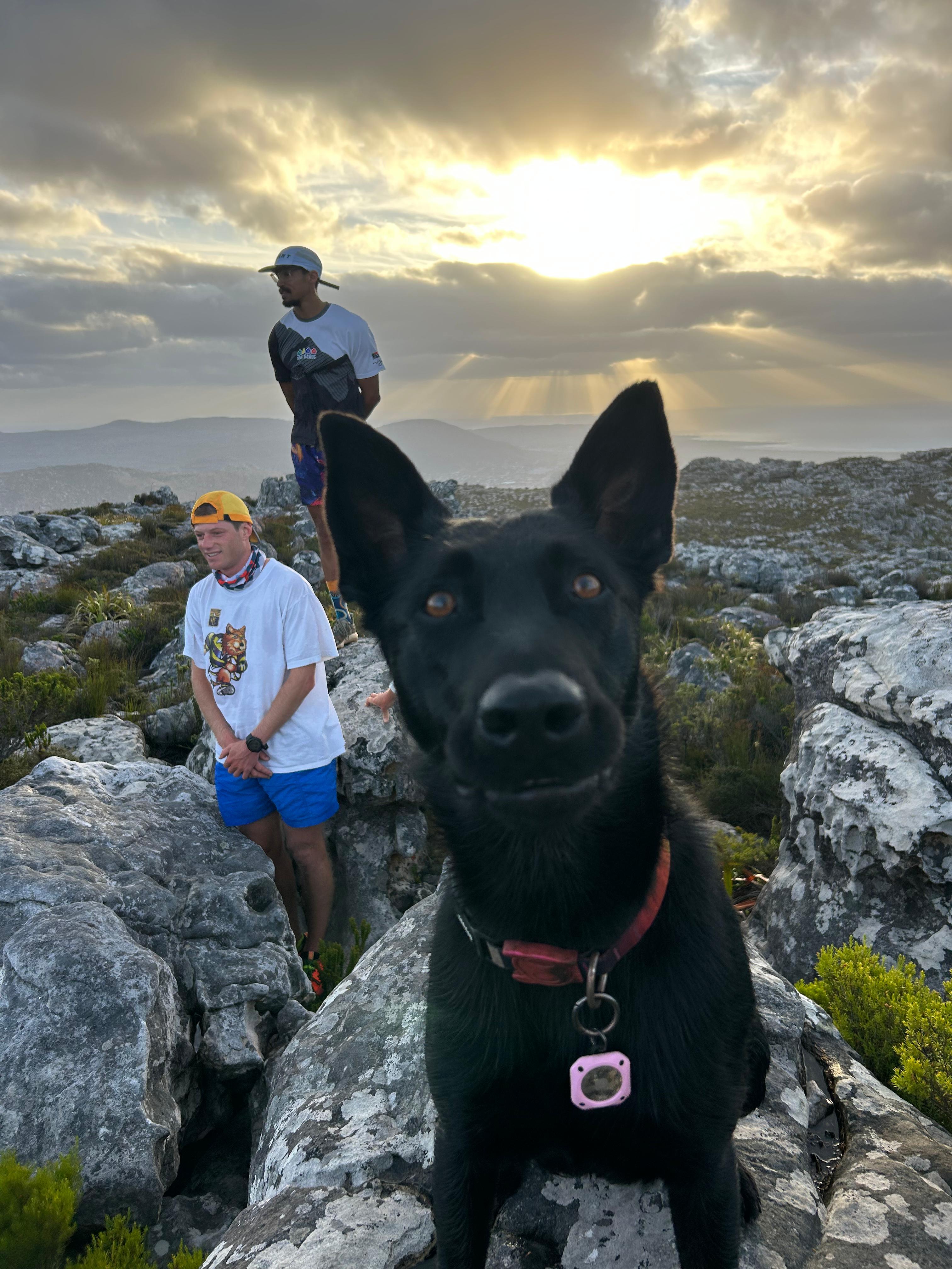 Black dog in foreground with trail runners on rocky mountain terrain during golden hour